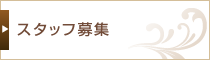 スタッフ募集