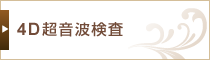 4D超音波検査